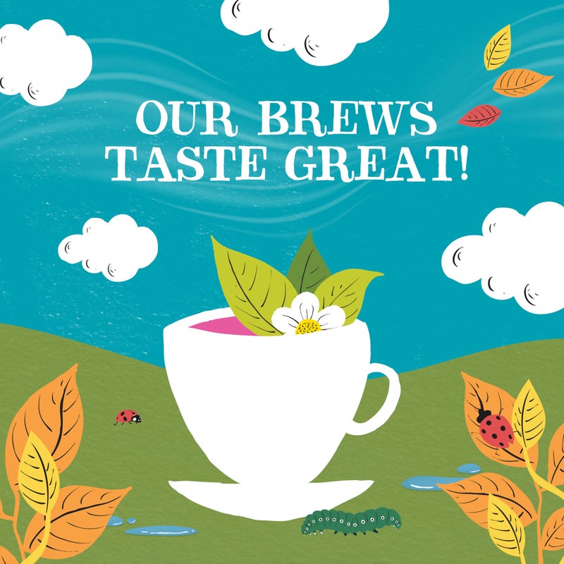 Clipper Tea: Organic Herbal & Green Tea Set, Gift Box - Tea Selection & Sampler with 5 Flavors Including Lemon, Ginger, and Bedtime Teas - Assorted Tea Bags in Colorful Tea Box, 45 Unbleached Tea Bags - Image 4